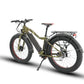 EUNORAU Fat Tire-AWD Electric Bike