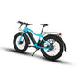 EUNORAU Fat Tire-AWD Electric Bike